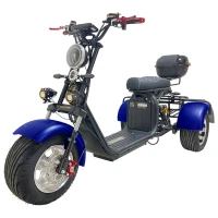 Электроскутер трехколесный CITYCOCO GT X11 PRO TRIKE 2024 Синий