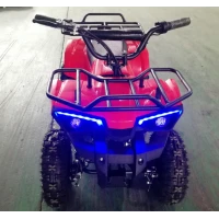 Электроквадроцикл GreenCamel Гоби K32 (36V 1000W R6 Цепь) Красный